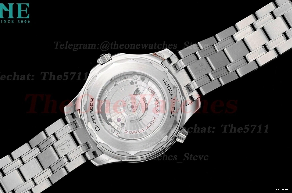 Seamaster Wht A8800 SS SS blue 300m 42mm JVSF 0112